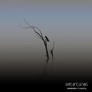 Bird and Snake (feat. KLAUDIA JOANNA)