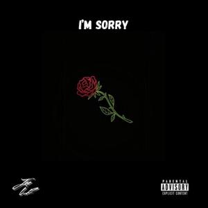 I'm Sorry (Explicit)