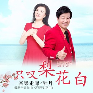 只叹梨花白