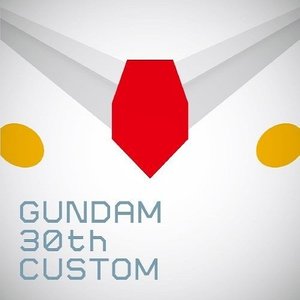 GUNDAM 30th CUSTOM