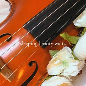 Sleeping Beauty Waltz