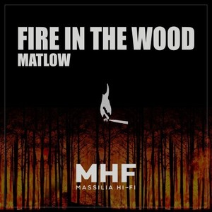 Fire in the Wood