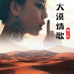 大漠情歌