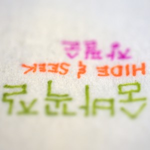 숨바꼭질 (Hide and Seek)