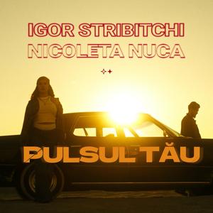 Pulsul Tãu (feat. Nicoleta Nuca)