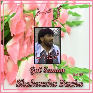 Gul Sanam, Vol. 28