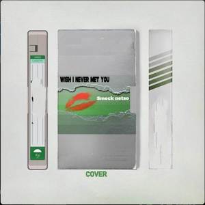 Wish i never met you (Explicit)