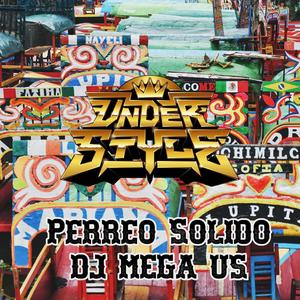 Perreo solido