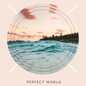 Perfect World