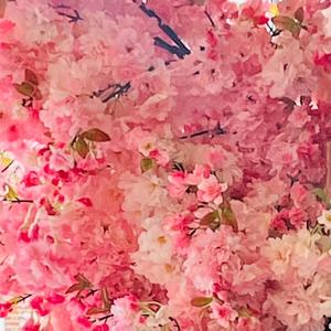 Ellusive - I Don't Know What Love Is... (But I Know That I Love You)