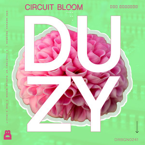 Circuit Bloom