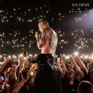 R.I.P. CHESTER
