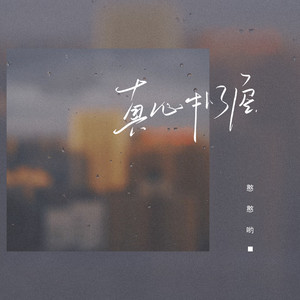 憨憨哟 - 真心扑了空 (伴奏)