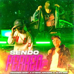Sendo Perreo(feat. C-Isho Arcadio & Alex Fer)