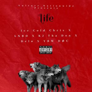 Life (Explicit)