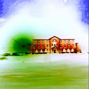 GO DUMB (feat. DESIRABLE!) (Explicit)