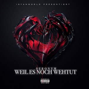 Weil Es Noch Wehtut (Explicit)