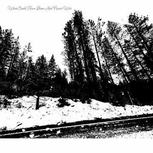 What Could Have Been and Never Was (feat. The Richard Stoll Project)