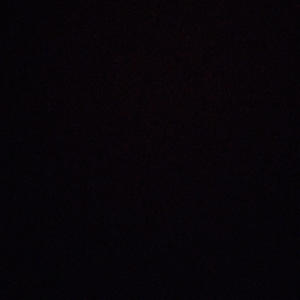 Living Life Freestyle (Explicit)