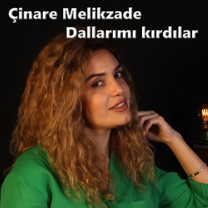 Dallarımı kırdılar