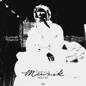 *******Musik (DELUXE) [Explicit]