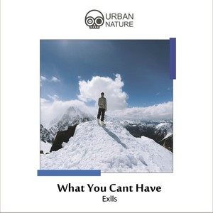 What You Cant Have (Explicit)