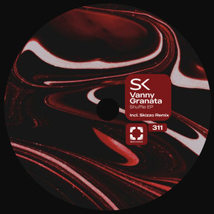 Shuffle (Skizzo Remix)