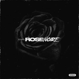 Rose Noire