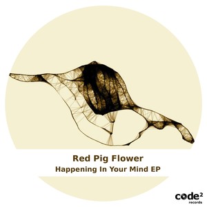 Happening in Your Mind (Fabian Du Remix)