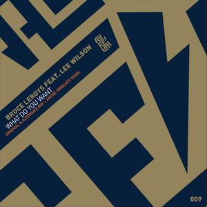 What Do You Want (Andre Torquato Remix)