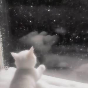 治不好想念你的嗜好