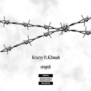Stupid (feat. k2noah) (Explicit)