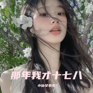 那年我才十七八 (伴奏)