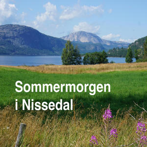 Sommermorgen i Nissedal