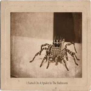 I Farted On A Spider In The Bathroom