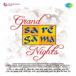 Grand Saregama Night