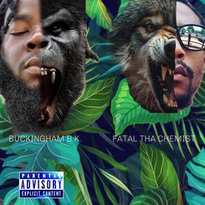 ThaLesson (feat. Fatal Tha Chemist) (Explicit)