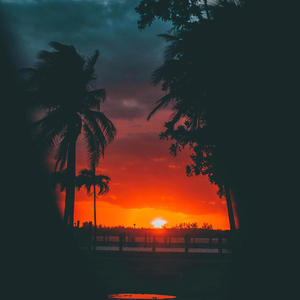 Feno - ANGELA (Explicit)