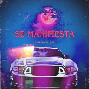 Se Manifiesta