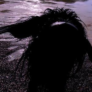 l'ill squab (Explicit)