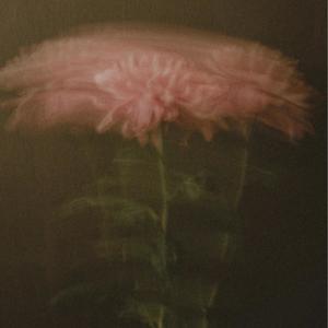 ALL MY LUV (feat. DRTYLAUNDRY) (Explicit)