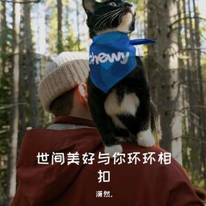 世间美好与你环环相扣