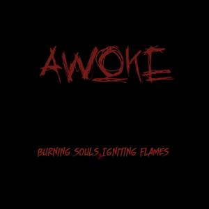 Awoke at last Guitar track test (very bad.)