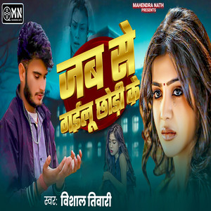 Jab Se Gailu Chori Ke