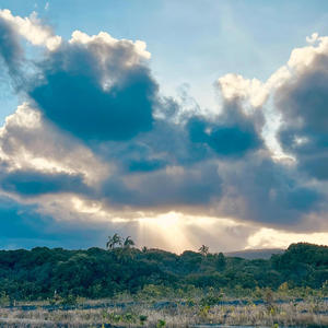 We Don't Work For That (Explicit)