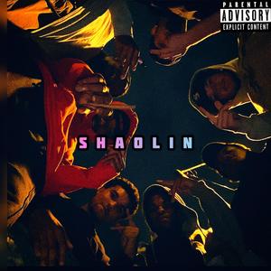 SHAOLIN W/J$ (feat. BLE) [Explicit]