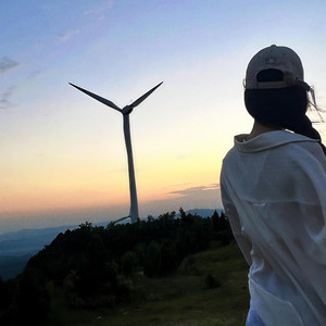 各花各有各花香 (DJ版)