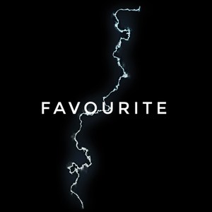 Favourite (Explicit)