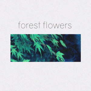 forest flowers