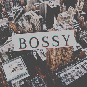 Bossy (feat. Ladi Donna, Brook J, Z baby Z killa & Ducky) [Explicit]